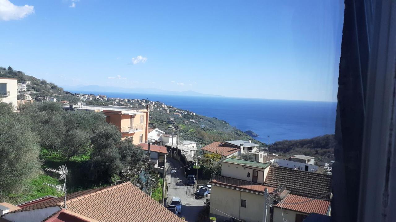 Il Quadrifoglio Villa Massa Lubrense Eksteriør bilde